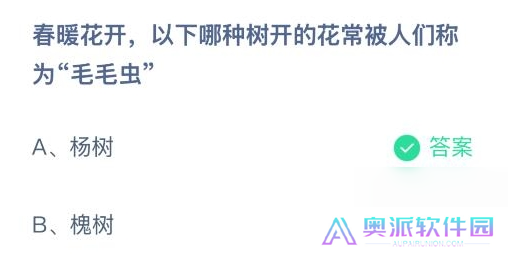 哪种树开的花常被人们称为毛毛虫 蚁庄园2月27日答案2025