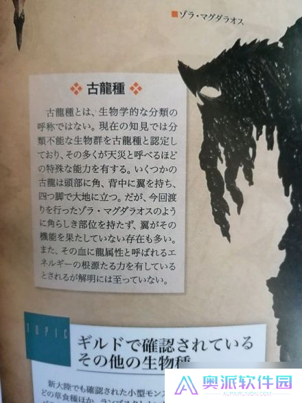 《怪物猎人荒野》古龙种大全一览