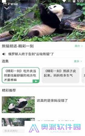 熊猫频道app下载