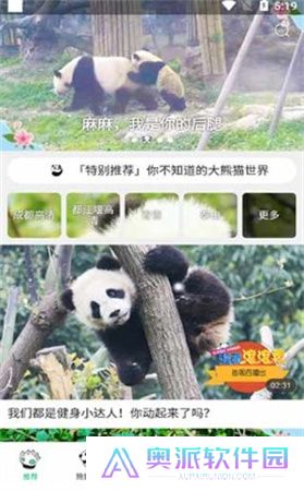 熊猫频道app下载
