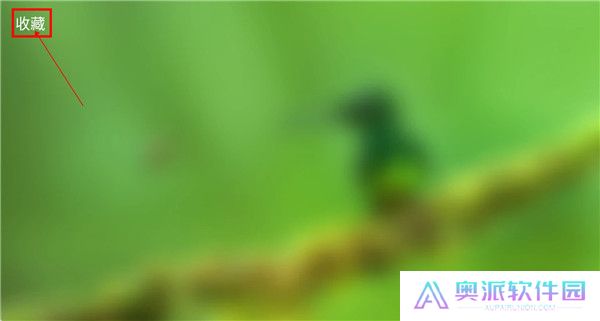 春天影视盒子截图