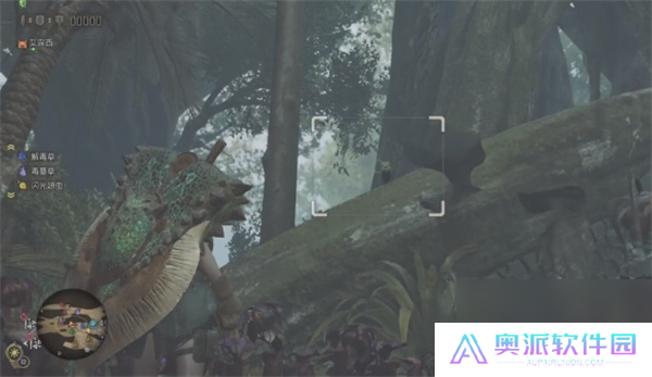 怪物猎人荒野端丽翼鸟具体位置分享