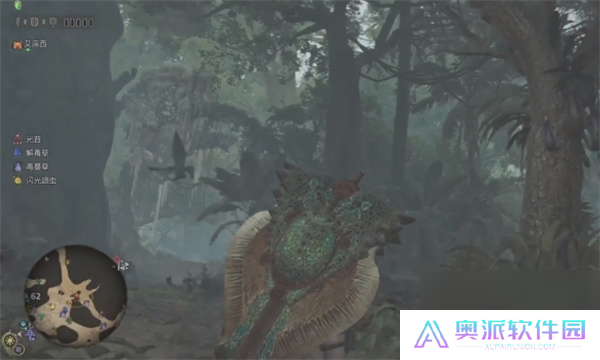 怪物猎人荒野端丽翼鸟具体位置分享