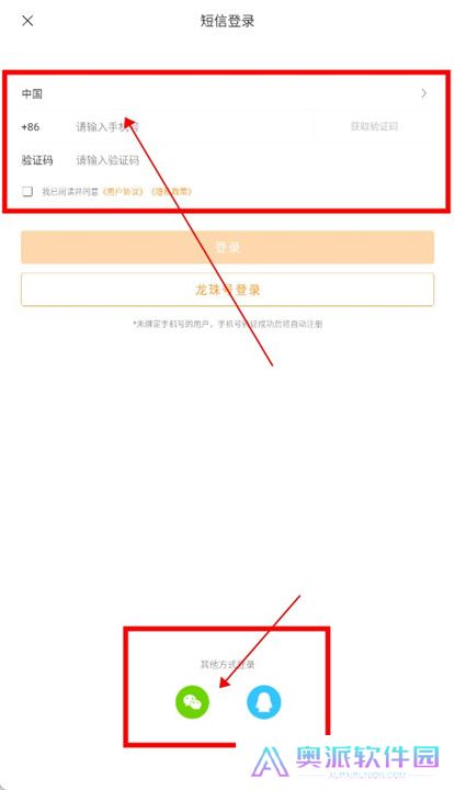 龙珠直播体育截图