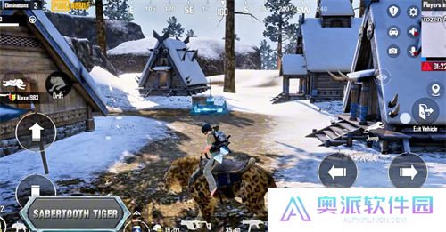 和平精英国际服