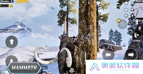 和平精英国际服