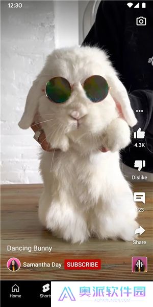 油管youtube官网版