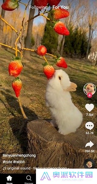 tiktok轻量版截图