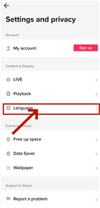 抖音海外版TikTok