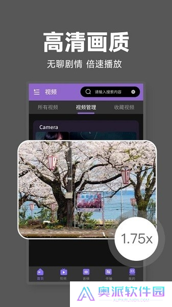 隐私无痕播放器软件