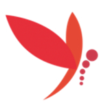 蜻蜓主播软件下载