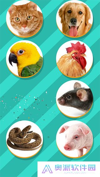 pettranslator动物语言翻译器