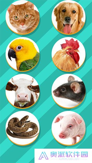 pettranslator动物翻译器