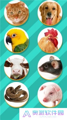 pettranslator动物翻译器