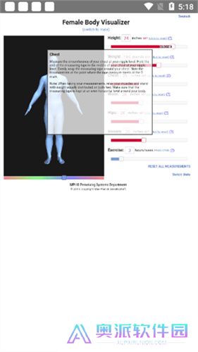 body visualizer