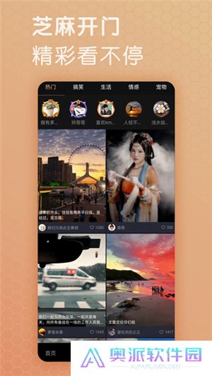 芝麻视频号助手下载安装