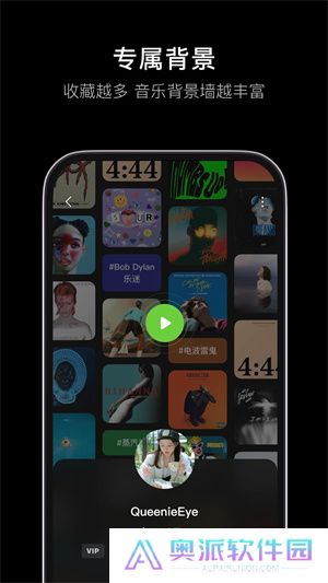 汽水音乐车机版