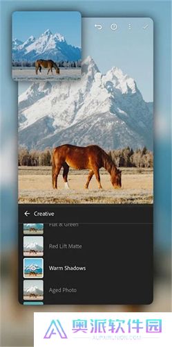 lightroom手机修图软件免费版
