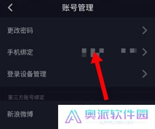 抖音手表版apk安装包