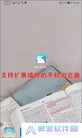 Kiwi浏览器