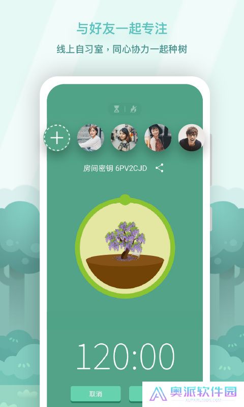 forest森林