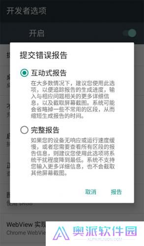 开发者选项