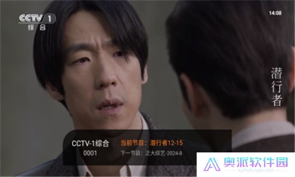 飞沙电视纯净版