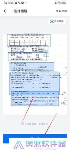 蜜蜂试卷免费版