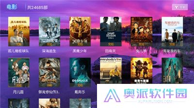 黑枫视界手机版