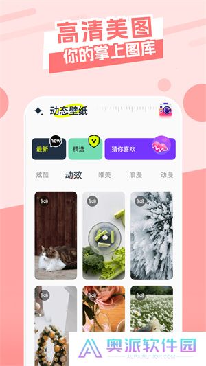 神鸟电视直播电视版
