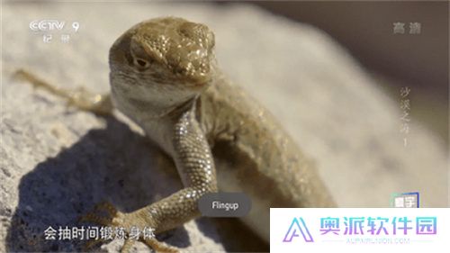 星火电视TV版app