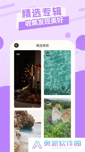 神鸟电视直播电视版