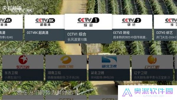 我的电视最新版