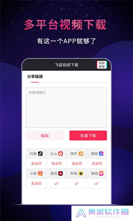 飞狐视频下载器