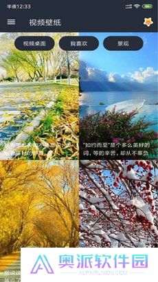 小熊壁纸