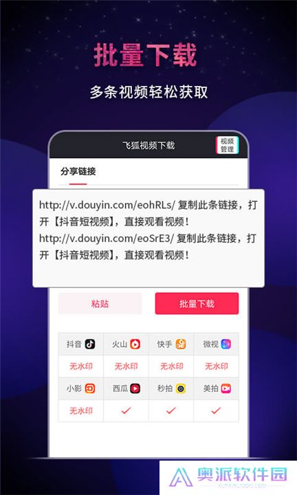 飞狐视频下载器