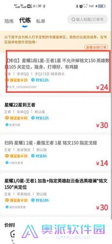 代练丸子打手版