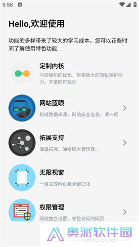 雨见浏览器嗅探版