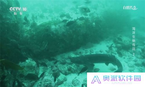 点点TV电视版
